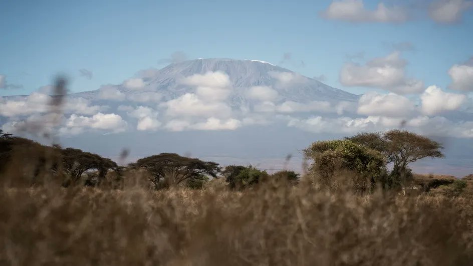franceinfo tweet media