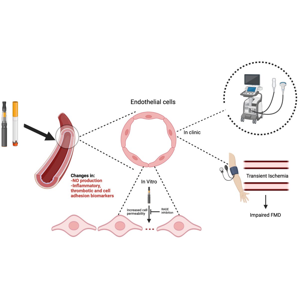 Nov. Editor Pick: Chronic vaping impairs endothelial function and increases microvascular endothelial permeabilityhttps://www.ahajournals.org/doi/10.1161/ATVBAHA.121.317749