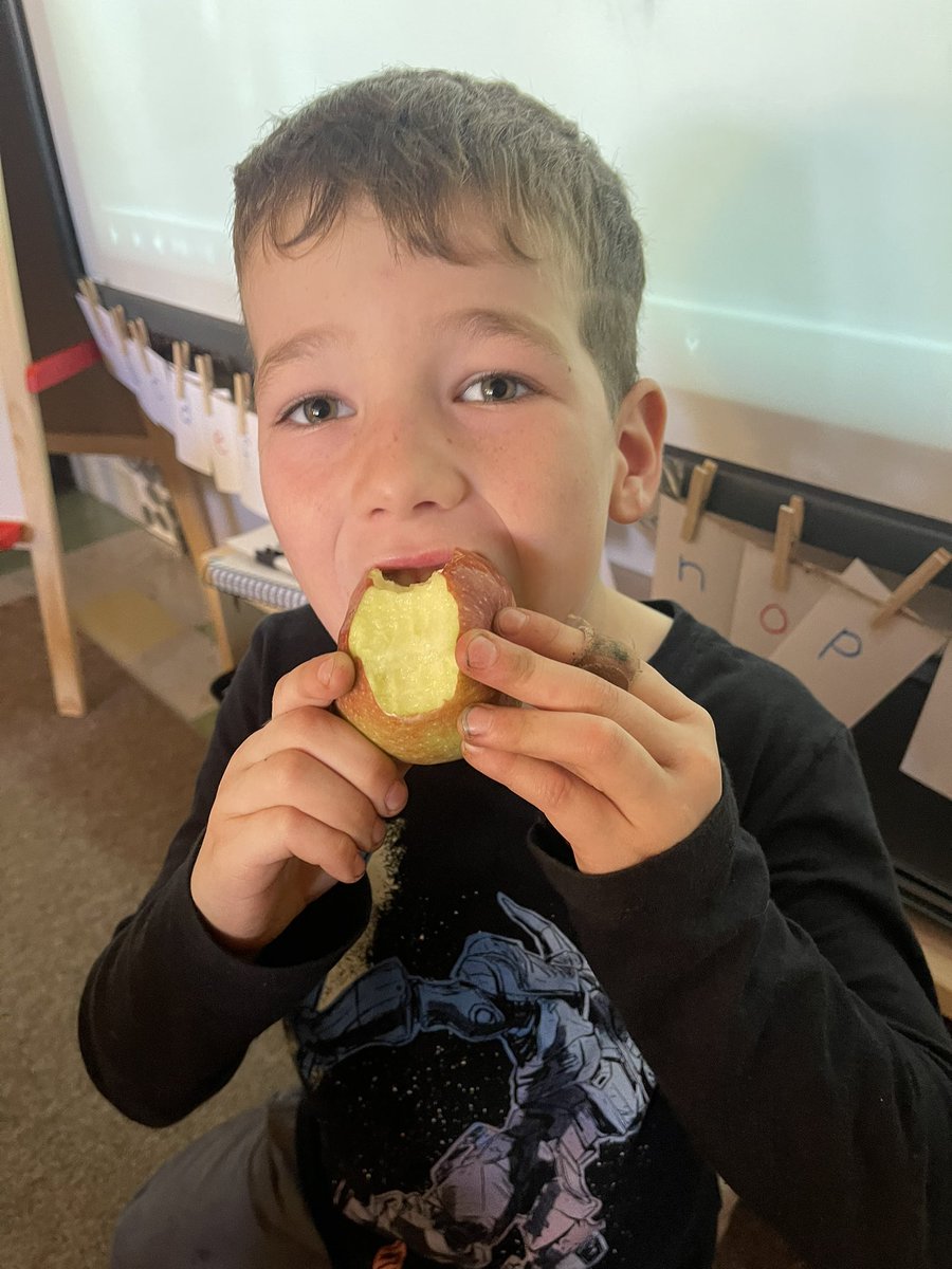 Davis Freund tweet media