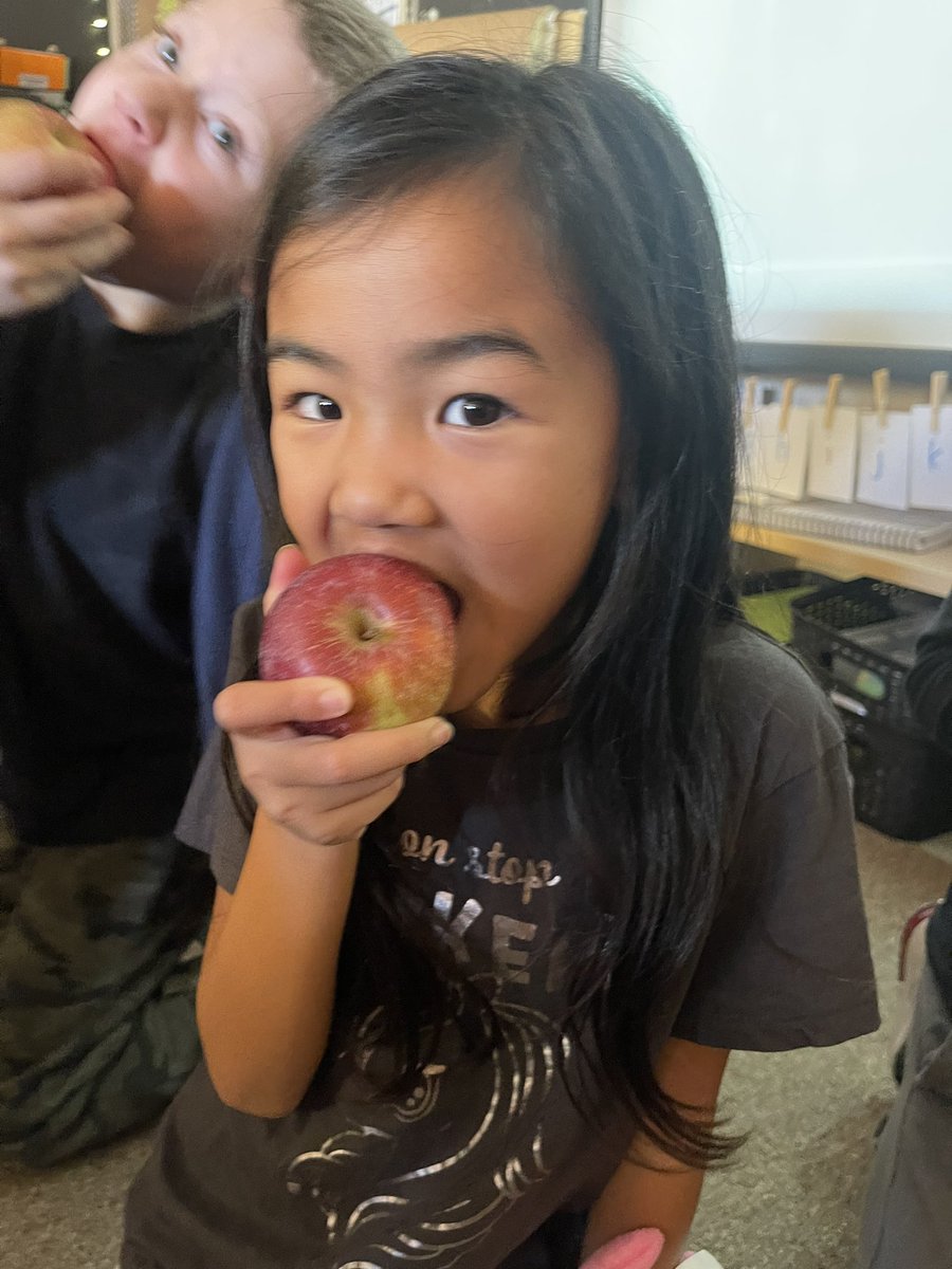 Davis Freund tweet media