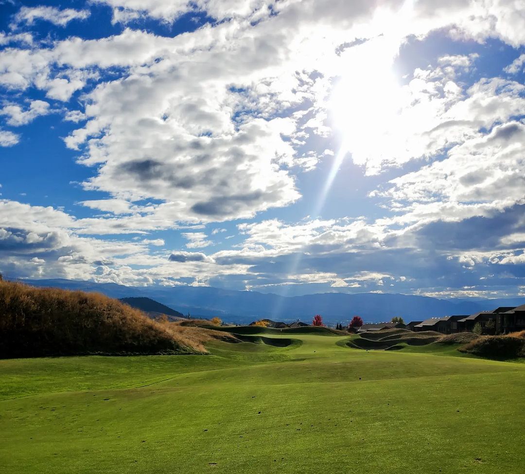 TowerRanch's tweet photo. Another stunning shot of the Tower Ranch greens 🤤 Our turf team did a great job this year!
📷 @nicofallergolf - thanks for sharing
#towerranchgolf #kelownagolf #scoregolf https://t.co/KH4oWkgh78