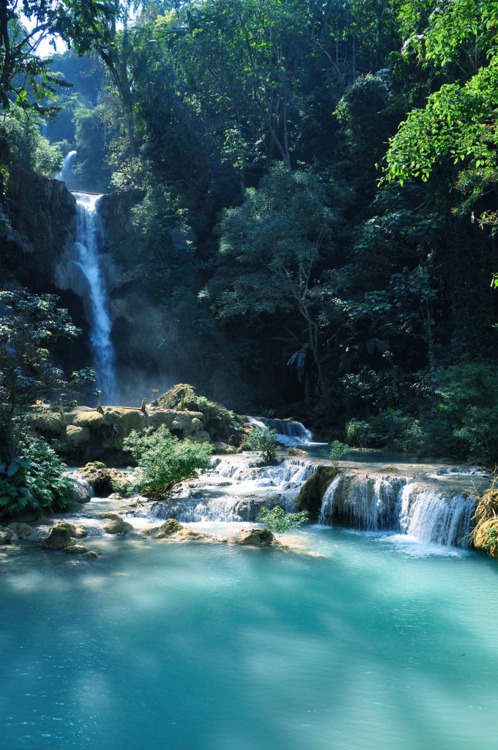 WesleyDonehue's tweet photo. Upper Falls, Tat Kuang Si, Laos #UpperFalls #TatKuangSi #Laos https://t.co/ndIsg8f2zT https://t.co/osgNCgYPmk