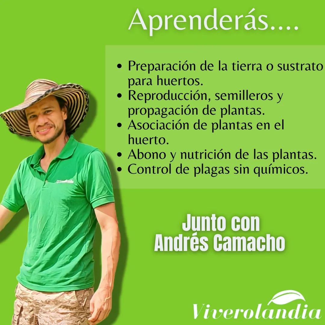 ¿Te gustaría aprender a hacer tu propio Huerto Orgánico en casa? 🌱
¿Cuándo?
Sábado 19 Nov. de 1:00 a 3:30 pm
Hotel Intercontinental Miramar Panamá 
Costo $40.00 (Reserva tu cupo con $10.00) 
Incluye: todos los materiales 🤩
Ven a disfrutar de una tarde entre plantas y Café 🪴☕