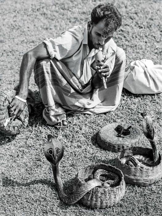 FiturZindgi's tweet image. गम ए हयात की नागिन ने डस लिया जिनको

वो अपने दौर के माने हुए सपेरे थे..!!