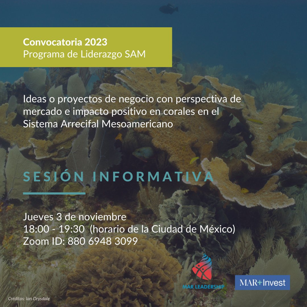 MARLeadership's tweet photo. Learn all about MAR Leadership 2023 in our informative zoom session this Thursday at 18:00 (Mexico City time) and 19:00 (Quintana Roo time) 

👉 Zoom: https://t.co/yliAniSEGD... 
👉 Call for applications: https://t.co/gbhTmZvqEe
👉 Deadline to apply: November 15 https://t.co/7xgABMKryW