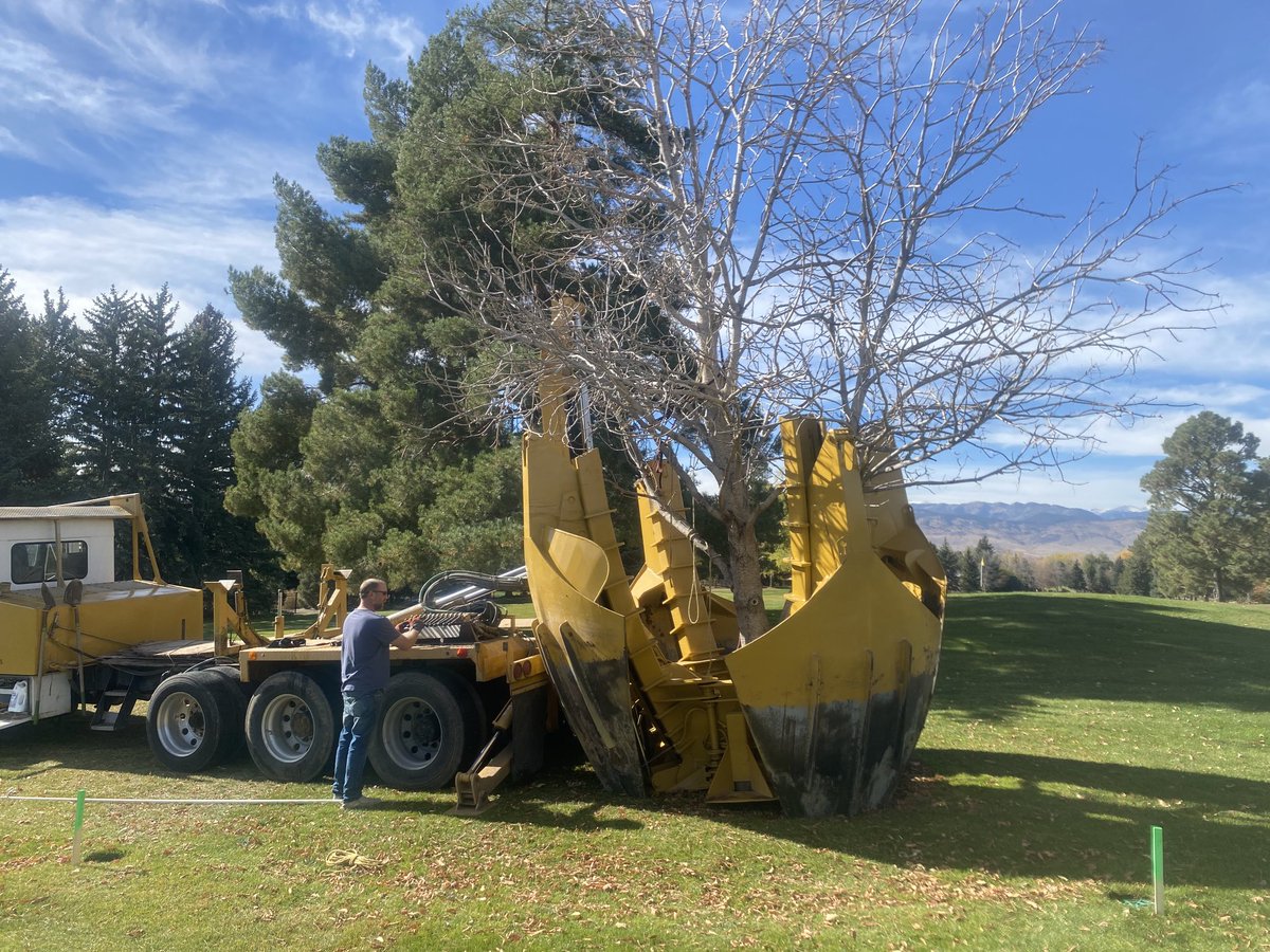 bouldergrounds's tweet image. Successful relocation of the buckeye that used to call the 1st tee area home.  Site preparation for our new putting green, staging area and 1st and 10th tees continues moving forward.