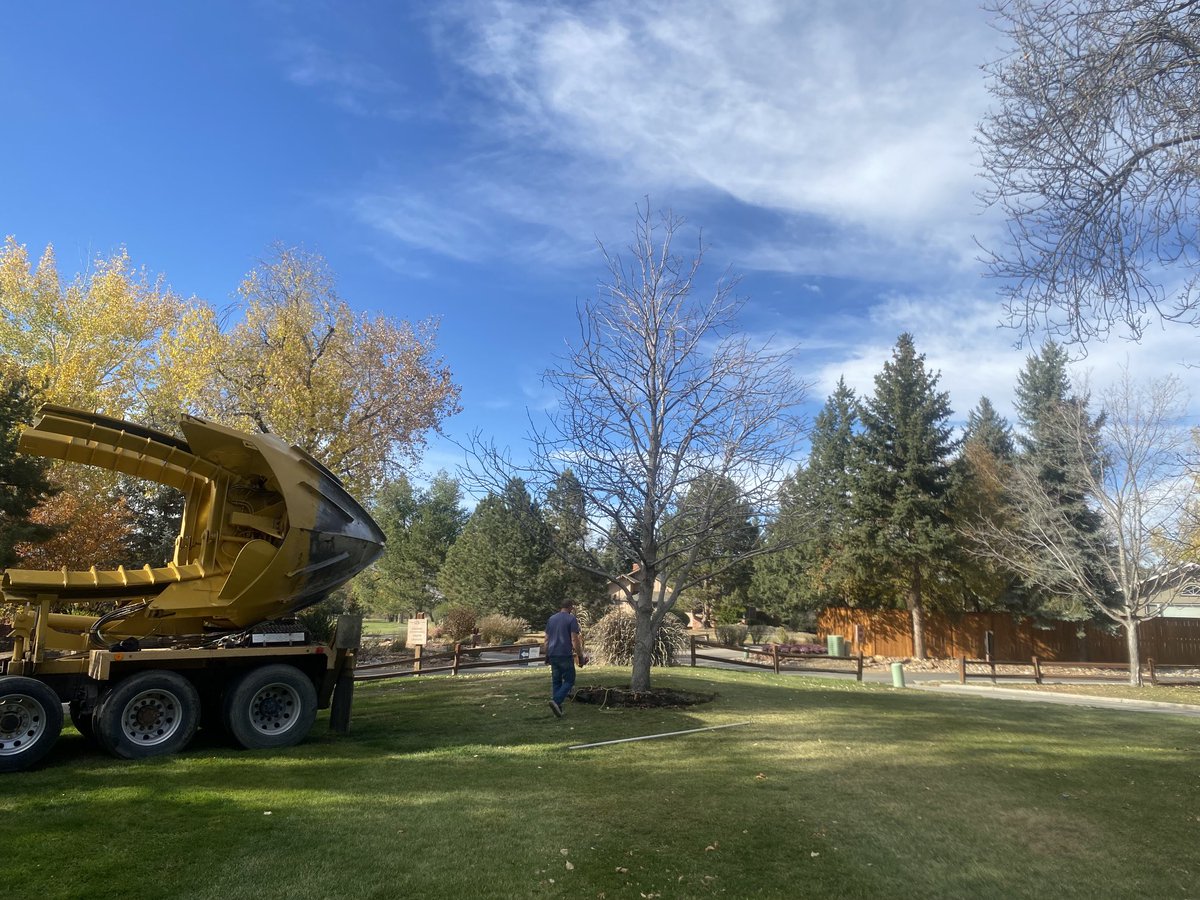 bouldergrounds's tweet image. Successful relocation of the buckeye that used to call the 1st tee area home.  Site preparation for our new putting green, staging area and 1st and 10th tees continues moving forward.