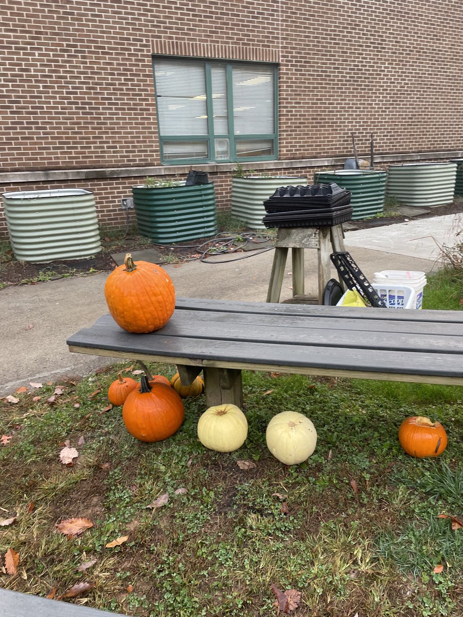 The HWES Annual Pumpkin Drive is on! When you are finished enjoying them, bring your pumpkins and gourds to the benches at kiss and ride. We will use them for a variety of science activities! ⁦<a href="/MrsCope_HWES/">Mrs. Cope</a>⁩ ⁦<a href="/fcpsGet2Green/">FCPS Get2Green</a>⁩