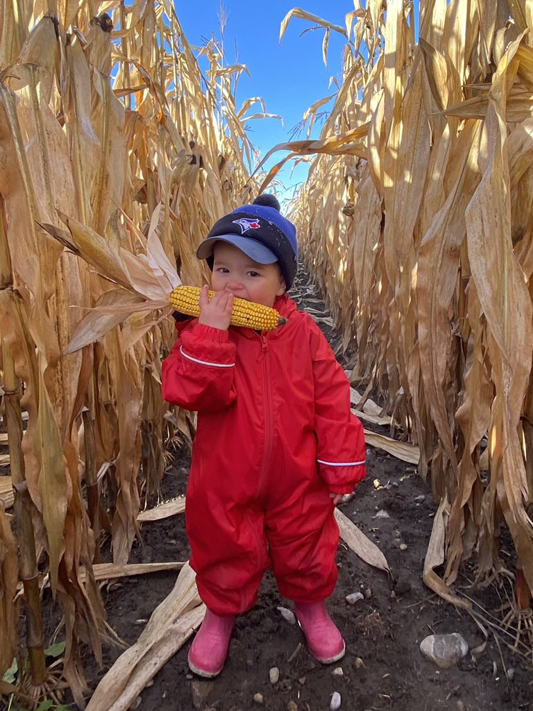 July 1st —&gt; Nov 1st 😊🌽 <a href="/DEKALB_Canada/">DEKALB Canada</a>