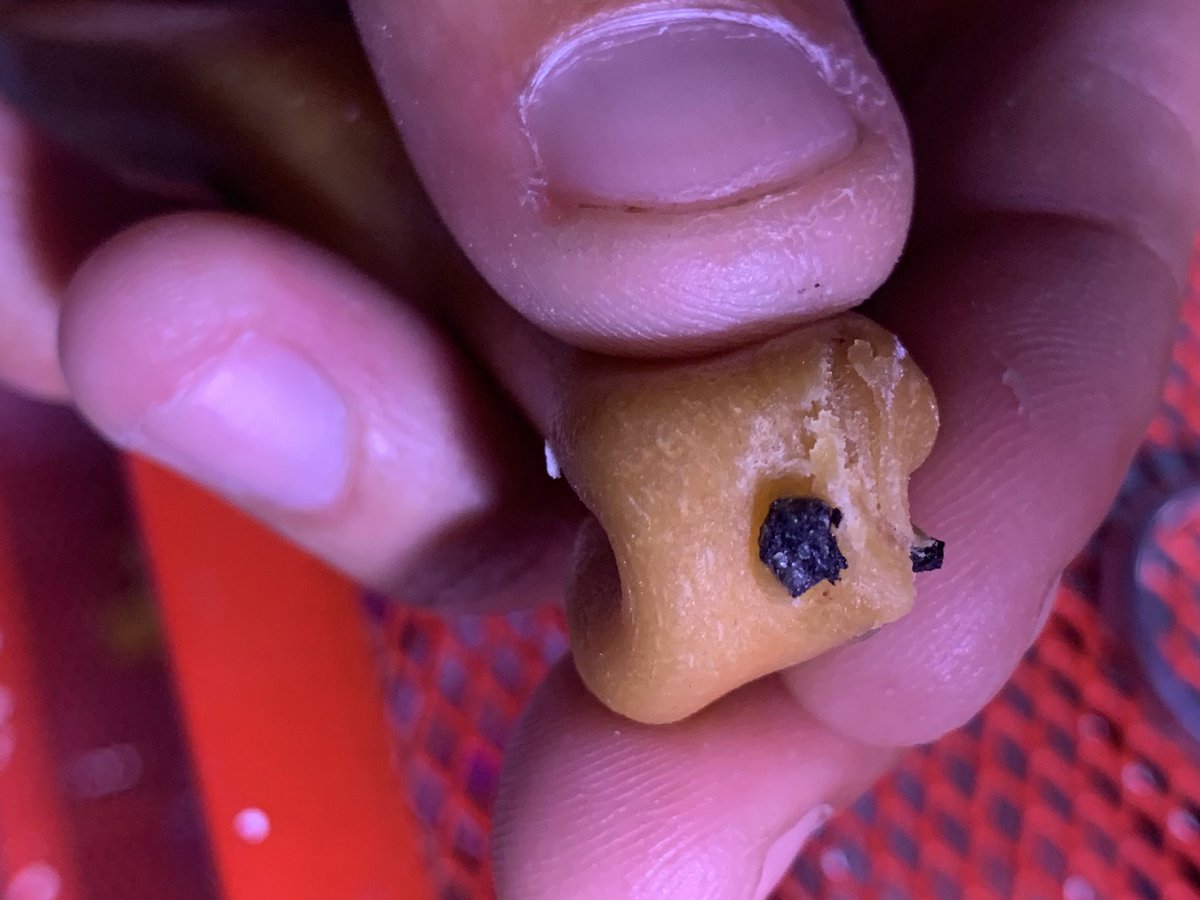 Kristjan Taylor tweet media