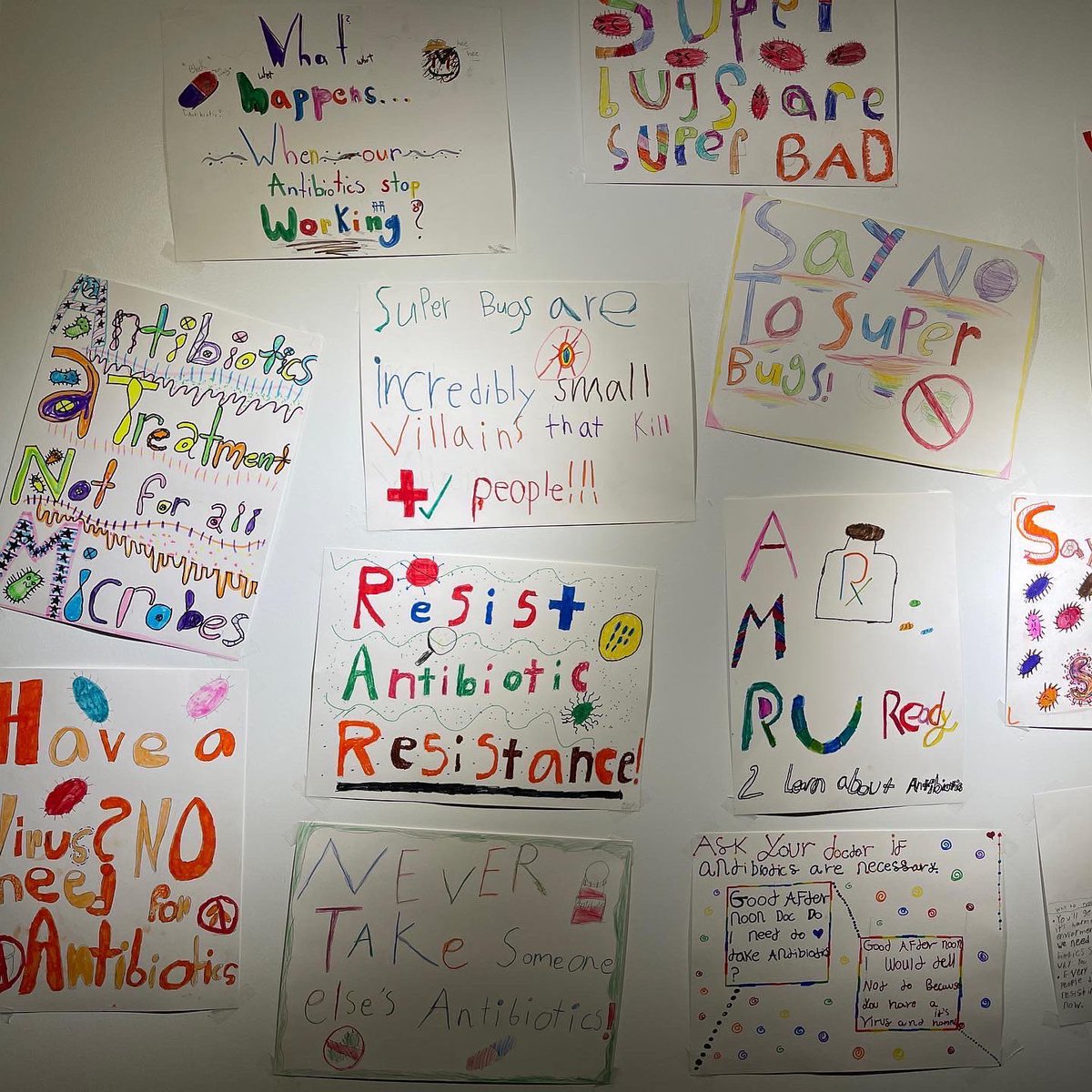 Dr. Cassandra Quave🌿⚕️ tweet media