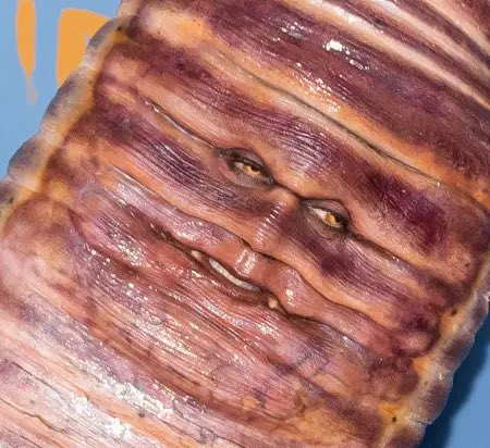 melanievaz's tweet photo. I know it’s @heidiklum as a worm for #Halloween but all I see is Michael Scott’s foot clamped in the George Foreman Grill, from #TheOffice. 🦶 💼 https://t.co/4cv8Yw9Pu0