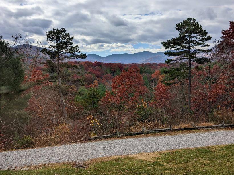 Laura Stevens tweet media