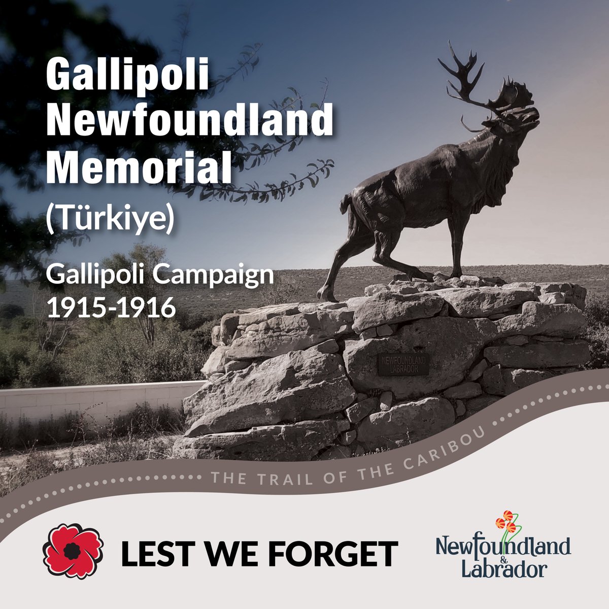 Ahead of #RemembranceDay #GovNL is sharing the story of the #TrailOfTheCaribou daily at 11:11.
After almost a year of training, more than 1000 members of the Newfoundland Regiment joined the fighting in Türkiye in Sept 1915. #LestWeForget
🔗veterans.gc.ca/eng/remembranc… <a href="/RoyalCdnLegion/">The Royal Canadian Legion</a>
