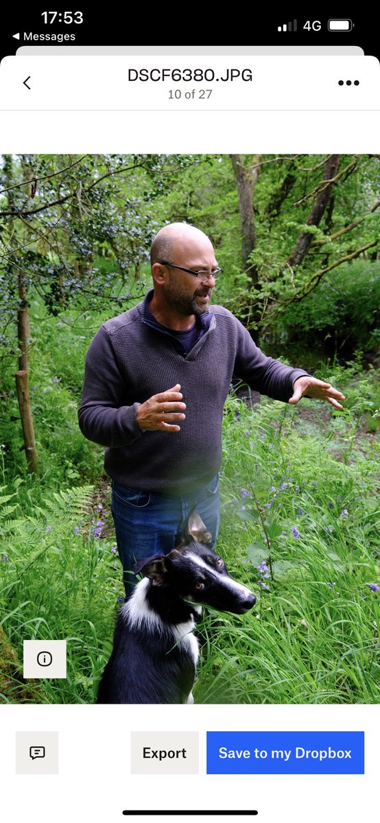 Matt Chatfield tweet media