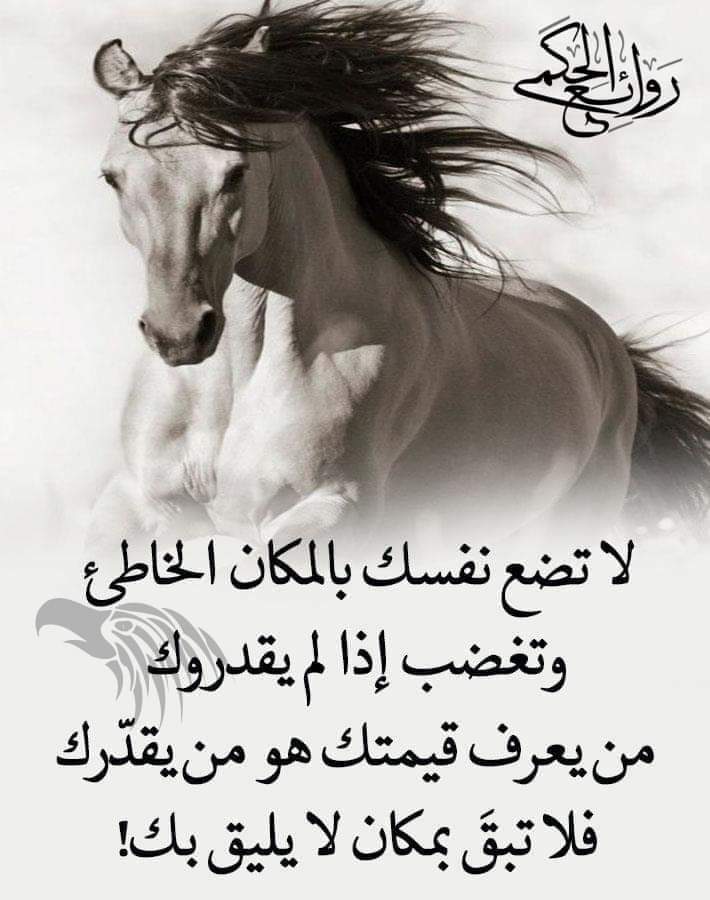 القلب الطيب (@redaras4) on Twitter photo 