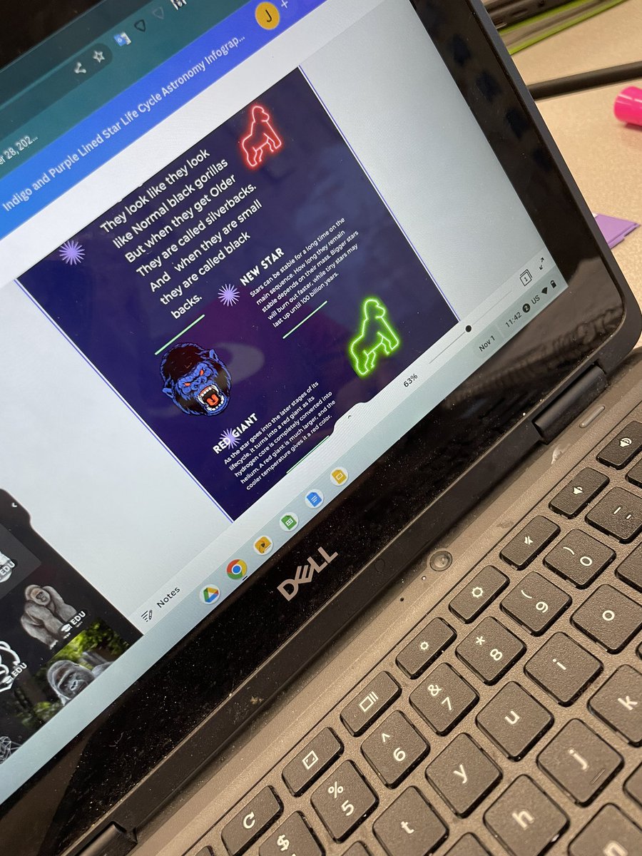 Yvette Mezzanatto tweet media