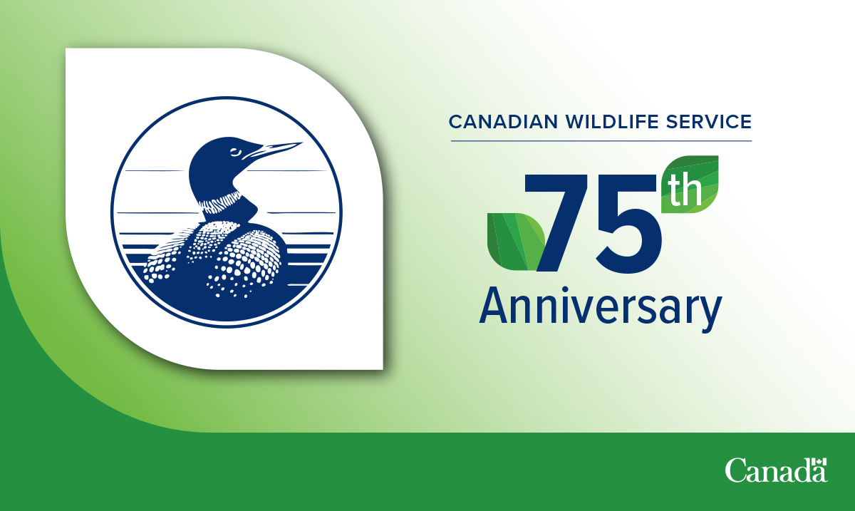 environmentca's tweet photo. 1/2 Today we celebrate the 75th anniversary of the Canadian Wildlife Service, #ECCC leaders who #ProtectNature , #wildlife &amp; #MigratoryBirds. 🎉 https://t.co/ECsHF7UTit