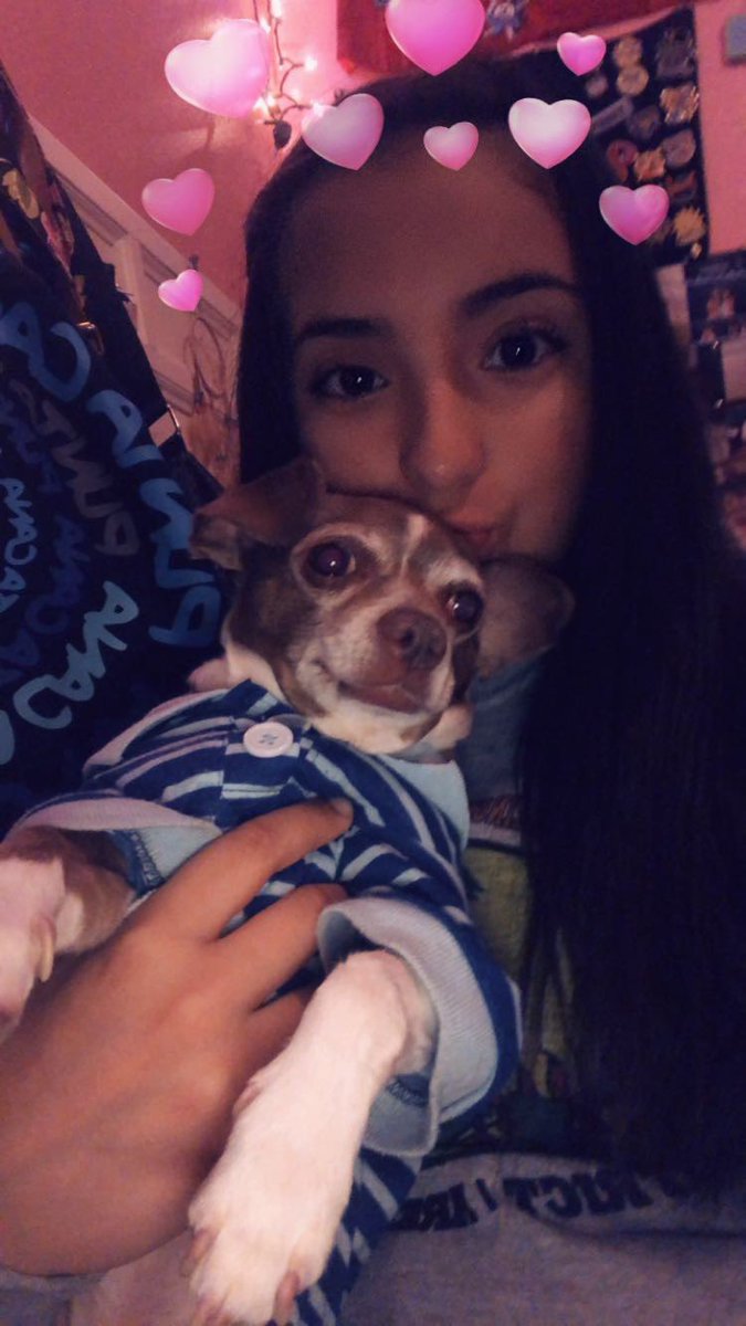 lyss ✨ tweet media