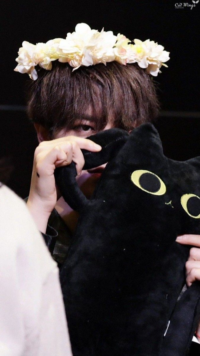 LastJuliettte's tweet photo. I've been waiting for the day of an official plushies release because i wanted to have a black cat of my own so much. Don't wreck my dreams y'all

#we_want_ravn_back
#OneusOT6Forever
#ONEUS #RAVN #Ravn_back_to_ONEUS #we_stand_with_RAVN https://t.co/TEVdgP5Pp0