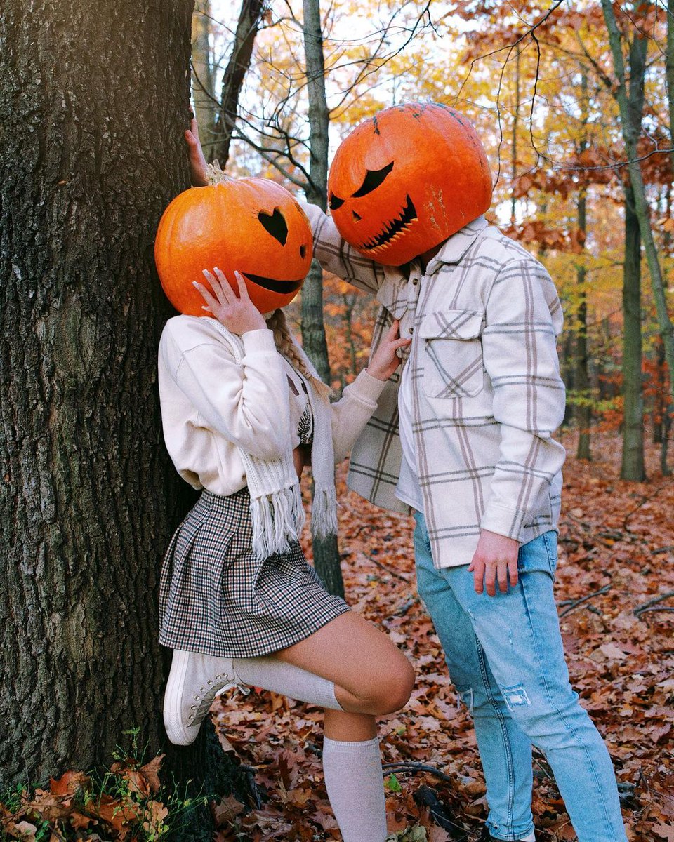 lodge_iris's tweet photo. . 　　 　　　　　. 　　　 
 ⋆  ·  ˚ 　　　  　
   ·　 · @StxveH
　 ✹ .  ⋆ ·  　 * 　 ✧
 ✦ 　 　 · 　　　 　　　　
 * 　　　 　　 　　　　 ˚ https://t.co/fF3pHdWYpl
