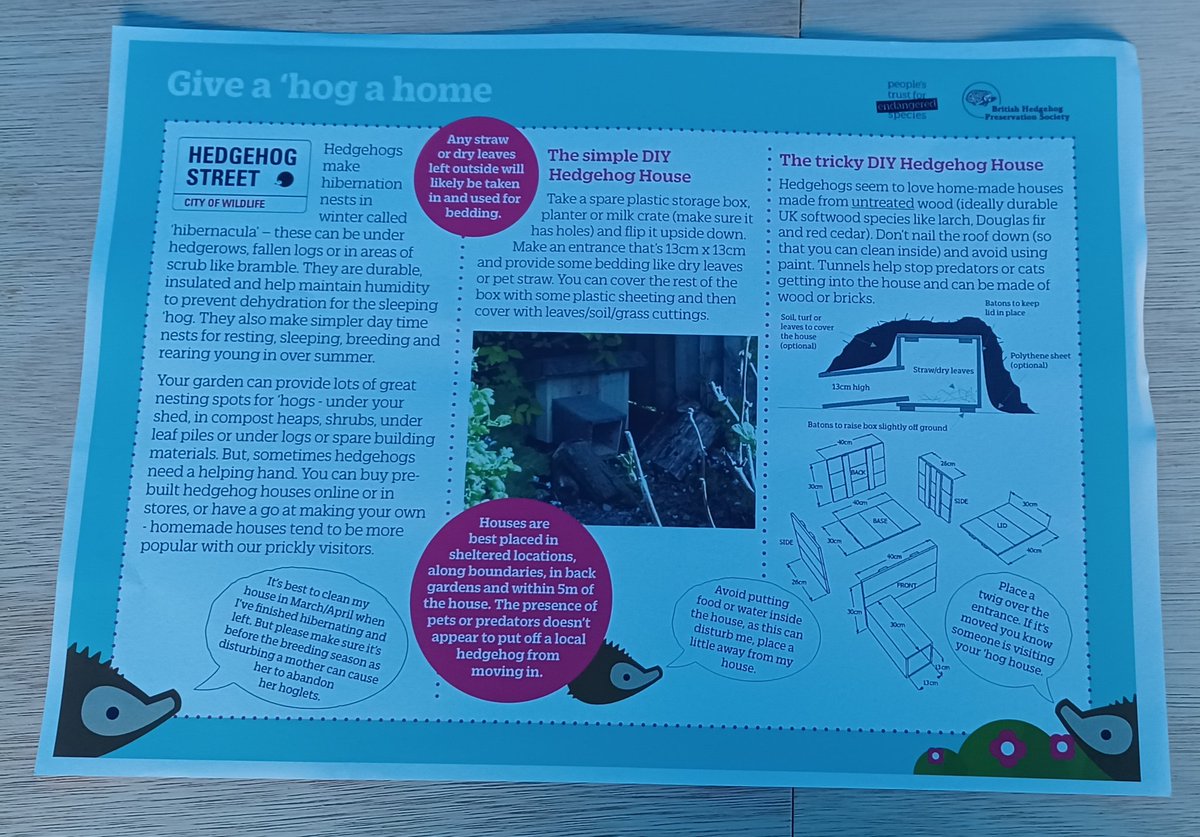 KarenDouglas_NI's tweet photo. Called into the #hedgehog #biodiversity event yesterday at #Bangor Castle Walled Garden where attendees got the opportunity to make their own hedgehog house and get advice on how to make their garden hedgehog-friendly @ANDborough 🦔🦔🦔 #letnaturein 🍁🍂 https://t.co/65RZ8r4e4W