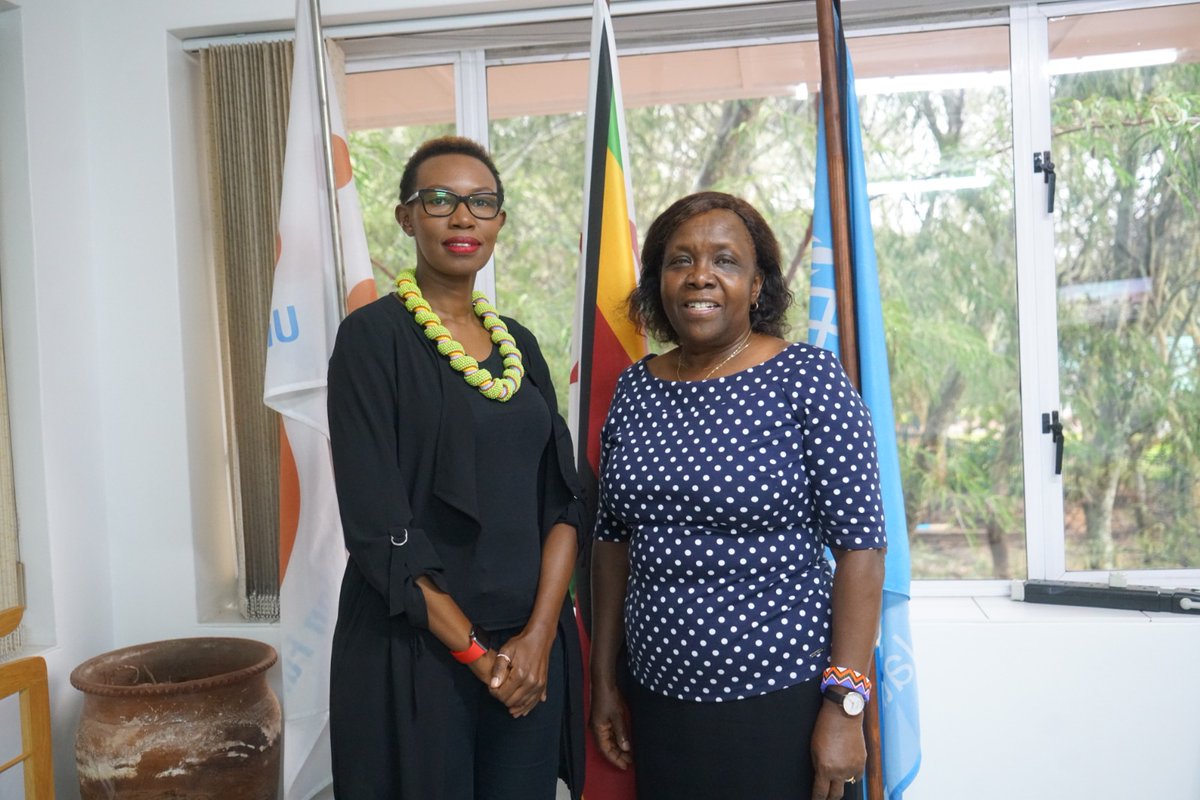 UNV East and Southern Africa tweet media