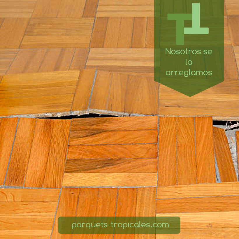 TParquets's tweet photo. Reparación Parquet
Los suelos de parquet con el tiempo terminan sufriendo daños, por diferentes motivos, agua, fuego, golpes, falta de #mantenimiento, solo un buen profesional es capaz de igualar las partes dañadas, con el suelo original.
@TParquets , la naturaleza a tus pies https://t.co/kM7QPvIpcy