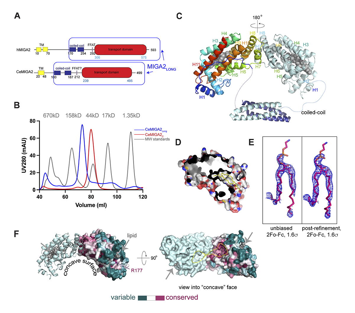 Journal of Cell Biology (@jcellbiol) on Twitter photo Mitoguardin-2–mediated lipid transfer preserves mitochondrial morphology and #LipidDroplet formation, say Zhouping Hong <a href="/ZhoupingH/">Zhouping Hong</a>, Karin Reinisch and colleagues <a href="/YaleCellBio/">Yale Cell Biology</a>: bit.ly/3zcTxt3
#Organelles #Membrane #lipid #mitochondria #ER_literature Mitoguardin-2–mediated lipid transfer preserves mitochondrial morphology and #LipidDroplet formation, say Zhouping Hong <a href="/ZhoupingH/">Zhouping Hong</a>, Karin Reinisch and colleagues <a href="/YaleCellBio/">Yale Cell Biology</a>: bit.ly/3zcTxt3
#Organelles #Membrane #lipid #mitochondria #ER_literature
