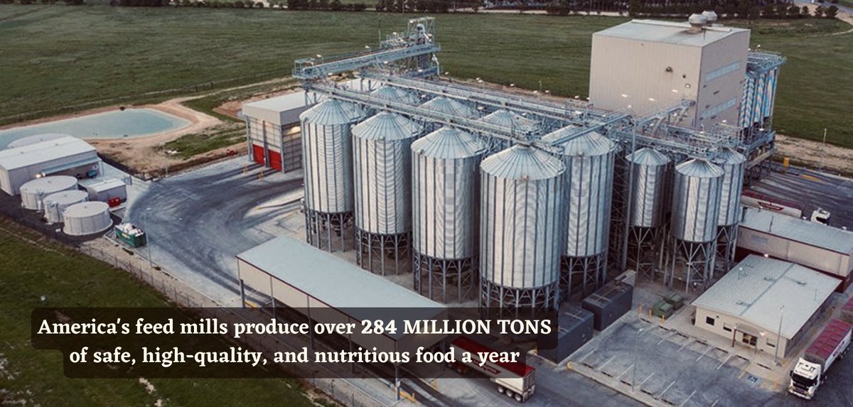 The U.S. raises over 9.6 BILLION food-producing animals a year. These animals need to be provided with good nutrition too and that’s what the feed mills are for!🌾 #CAO22