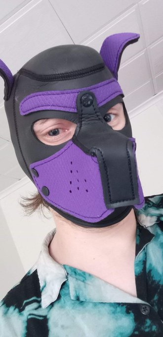 Aroo #humanpup #pupplay #pup https://t.co/cbODKKuS4P<a href="/tag/humanpup"class="tags">#humanpup</a><a href="/tag/pupplay"class="tags">#pupplay</a><a href="/tag/pup"class="tags">#pup</a>