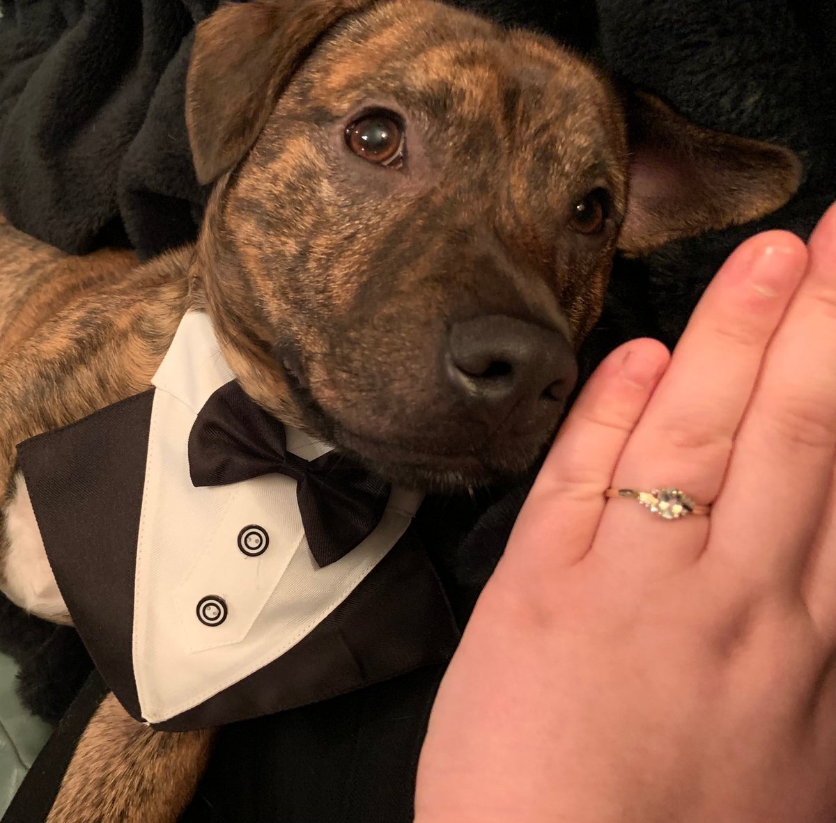 SHE SAID YES 💍💜