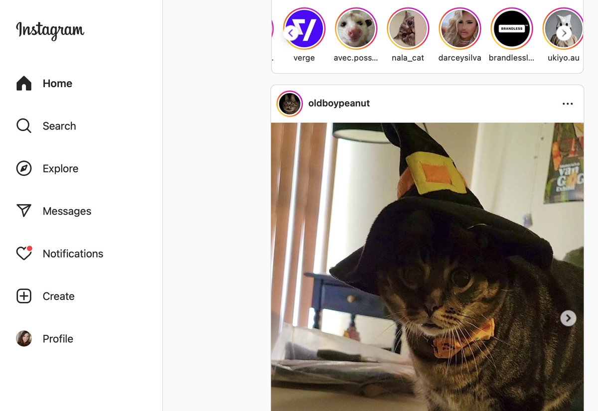Image of this social media content