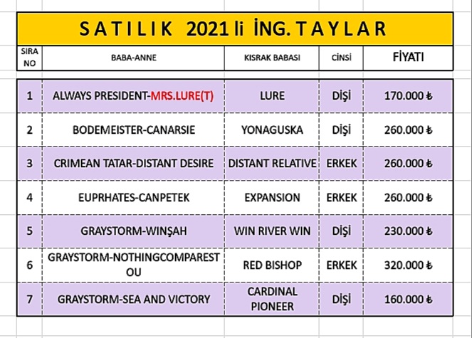 MetinMfg's tweet photo. #SatılıkTaylar #Yearling 📞5362458068 #AlwaysPresident #Bodemeister #CrimeanTatar #Euprhates #Graystorm @GuzelocakEkuri @VEFAHARASI @TurkishBldstock @s_e_r_c_a_n_A @TOLGACELIK34 @yamanlarbeyi78 @leventmalko6 @Filimosman @GokhanAksuGOLD @Trk_Tkc https://t.co/OLTTzIUyxx