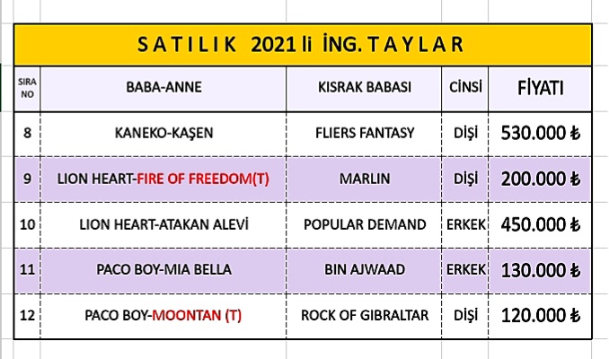MetinMfg's tweet photo. #SatılıkTaylar #Yearling 📞5362458068 #AlwaysPresident #Bodemeister #CrimeanTatar #Euprhates #Graystorm @GuzelocakEkuri @VEFAHARASI @TurkishBldstock @s_e_r_c_a_n_A @TOLGACELIK34 @yamanlarbeyi78 @leventmalko6 @Filimosman @GokhanAksuGOLD @Trk_Tkc https://t.co/OLTTzIUyxx