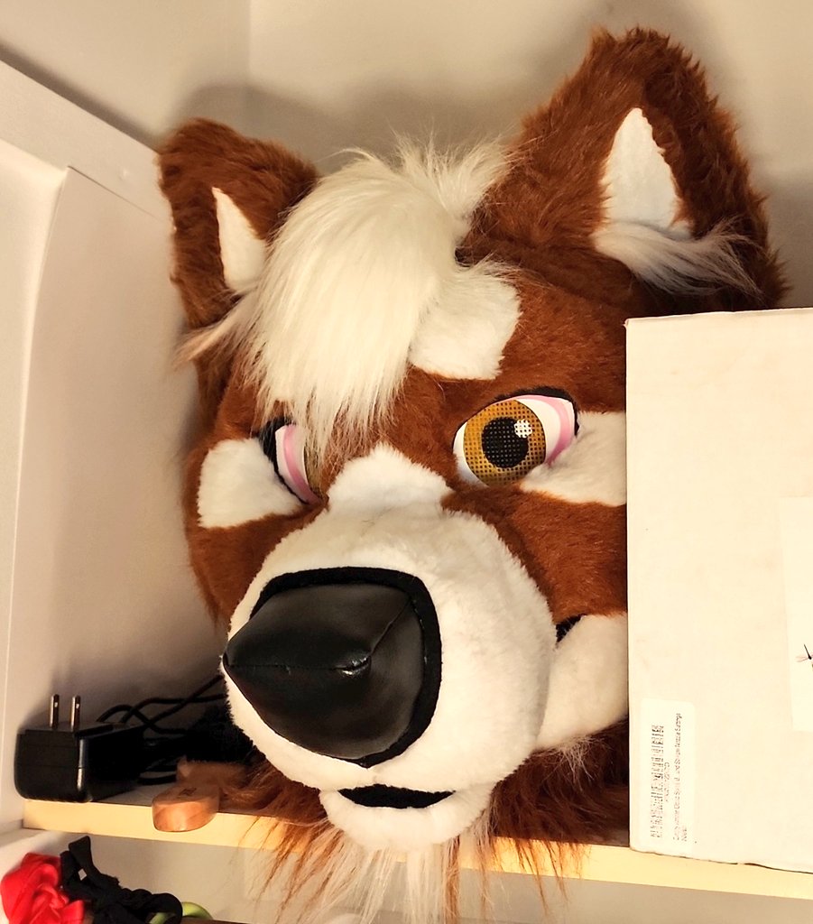 So today is Myron's 6th birthday! Feels like just yesterday I commissioned him ^^

Wild how time flies.