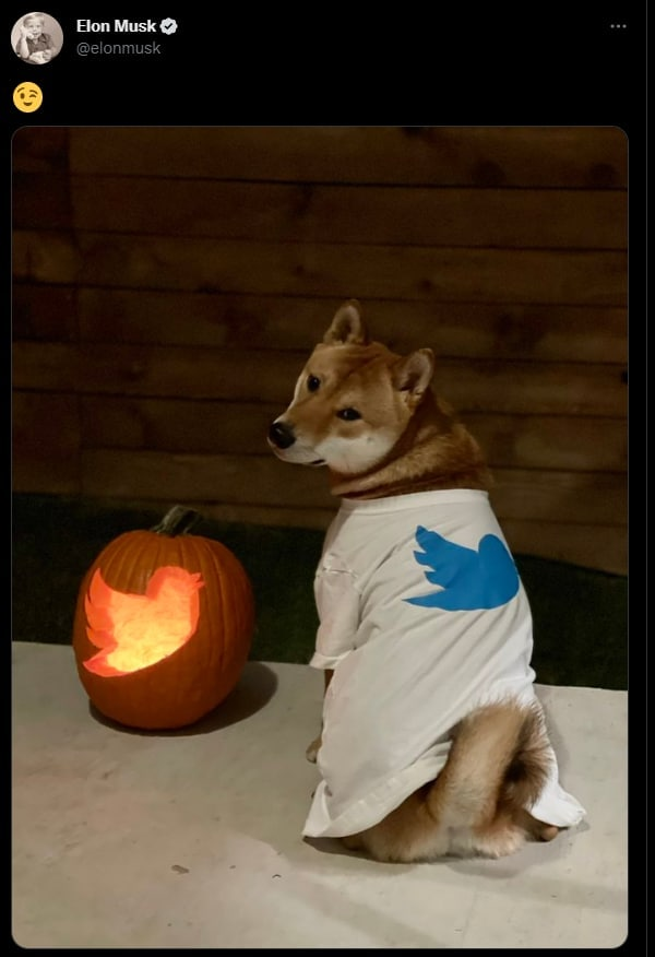 SpookyFloki tweet media
