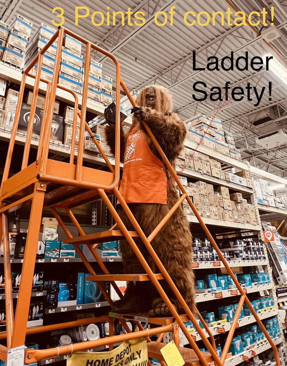 TiffaniPughHD's tweet photo. Freight Team 2915!! 🎃👻 https://t.co/DhmpoDL5FU