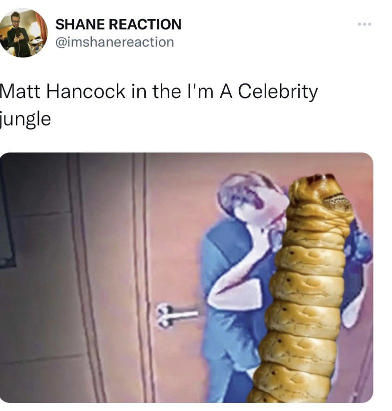 AnthonyWatkin's tweet photo. “Ha! Poor old Hancock. I dunno why there's all this hand-wringing about him going in the jungle. Send all the Tory c**ts over to Oz - one way! They do fuck all anyway!”

Quote by unknown…….  @MattHancock https://t.co/9UR6PvfnMV