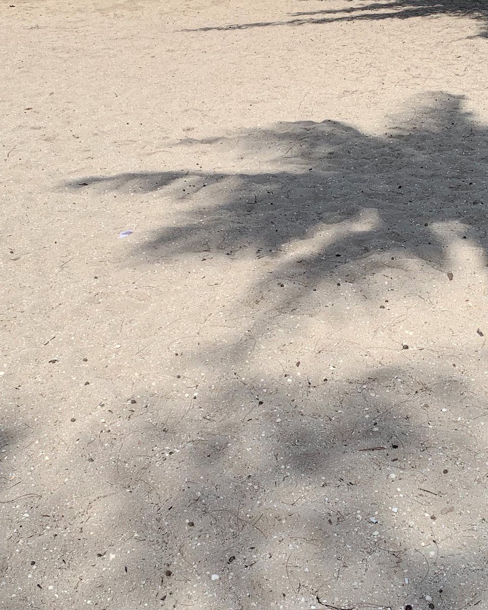 sasnotes's tweet image. 📍; prαiα lindα, ѕãσ pedrσ dα αldeiα.