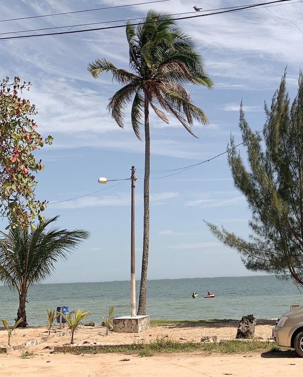 sasnotes's tweet image. 📍; prαiα lindα, ѕãσ pedrσ dα αldeiα.