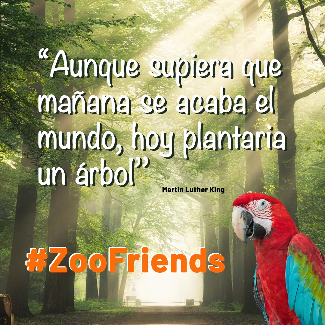 zooclinical's tweet photo. Hoy recordamos la relación que existe entre nuestros animales y su hogar. Vamos a cuidar nuestro planeta! #MedioAmbiente #ecología #ZooFriends https://t.co/NErSvClsKS