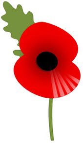 #zshq If yaa want a poppy on your avi just say ok❤️ Red, purple....