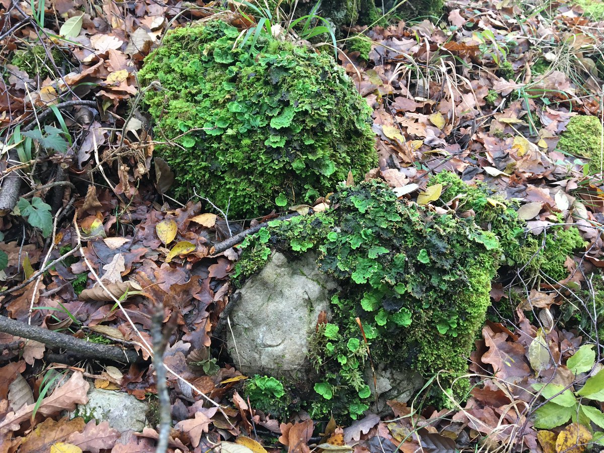 April Windle tweet media