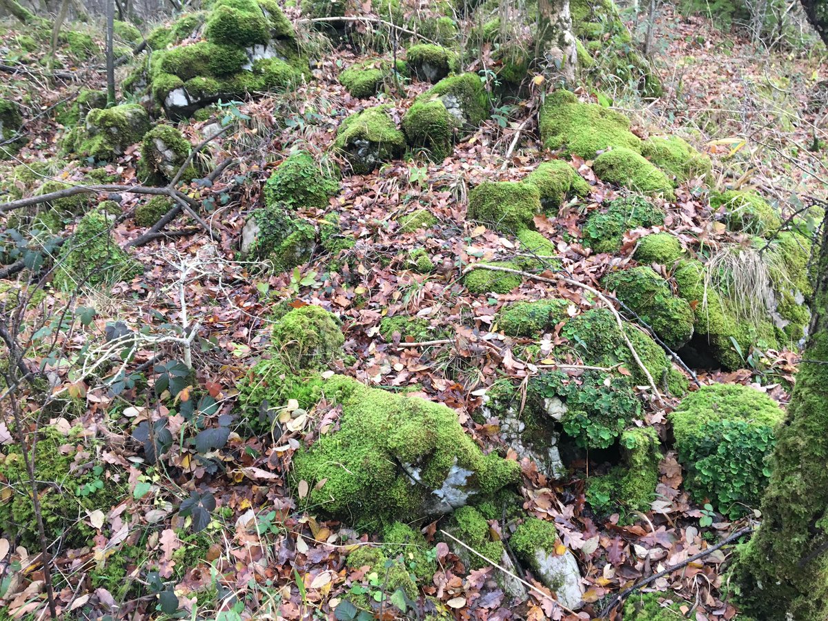 April Windle tweet media