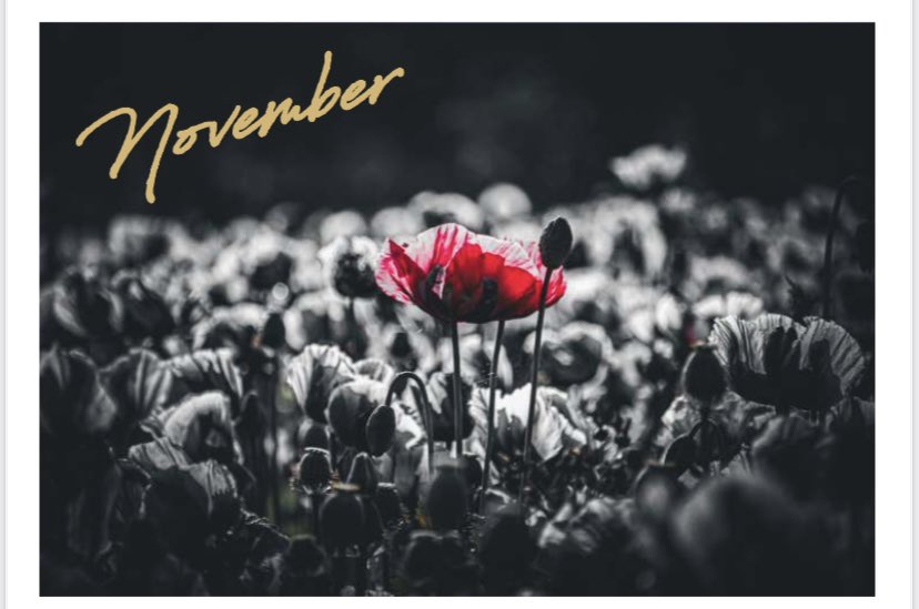 Liz Mead tweet media