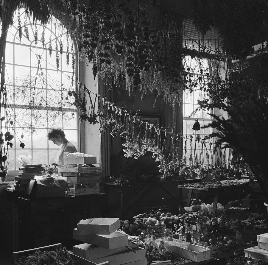 Flower Library 
    John Drysdale 

#blackandwhitephotography 
#1novembre