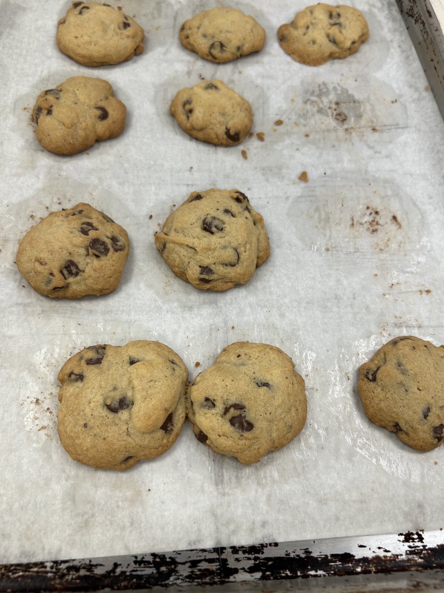 Mrs Plachy tweet media