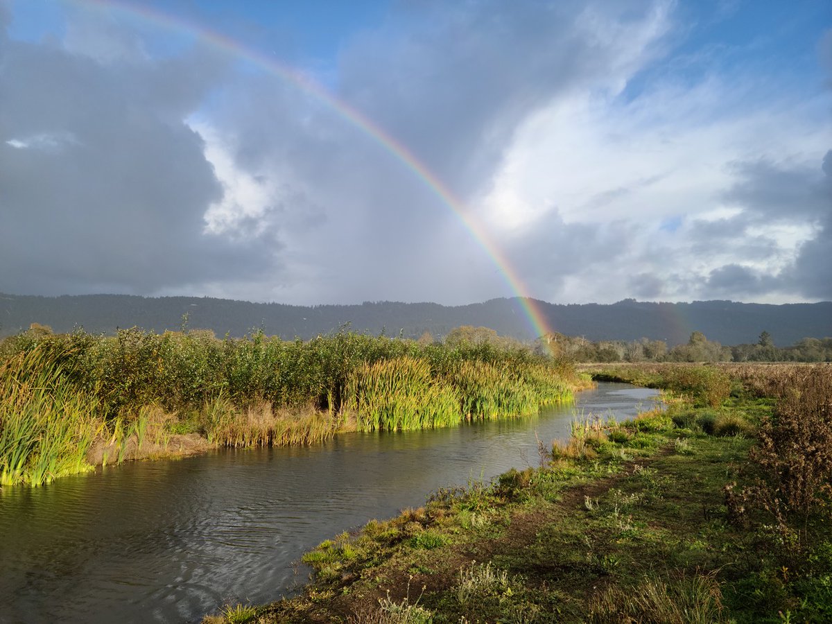 CA_Salmon's tweet photo. The 40th Annual Salmonid Restoration Conference will be held in Fortuna, California from April 25-28, 2023. Please visit the SRF website to see the Final Call for Presentation Abstracts. Abstracts due Nov 8. https://t.co/NYsyEBv2Sd https://t.co/V130DBCpCl