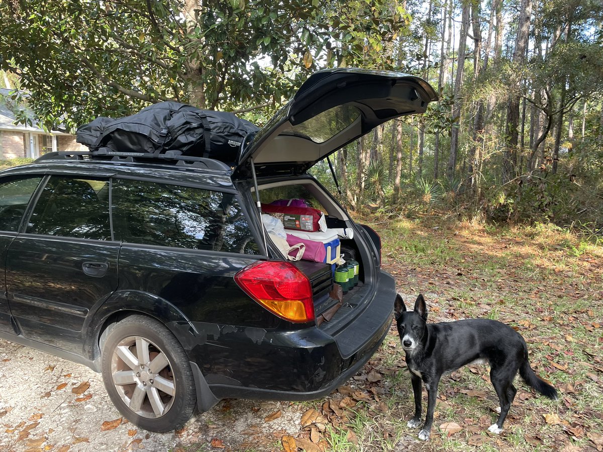 maddywormgirl's tweet photo. All packed! (Orion isn’t coming 😢) https://t.co/H03ZCkFulF